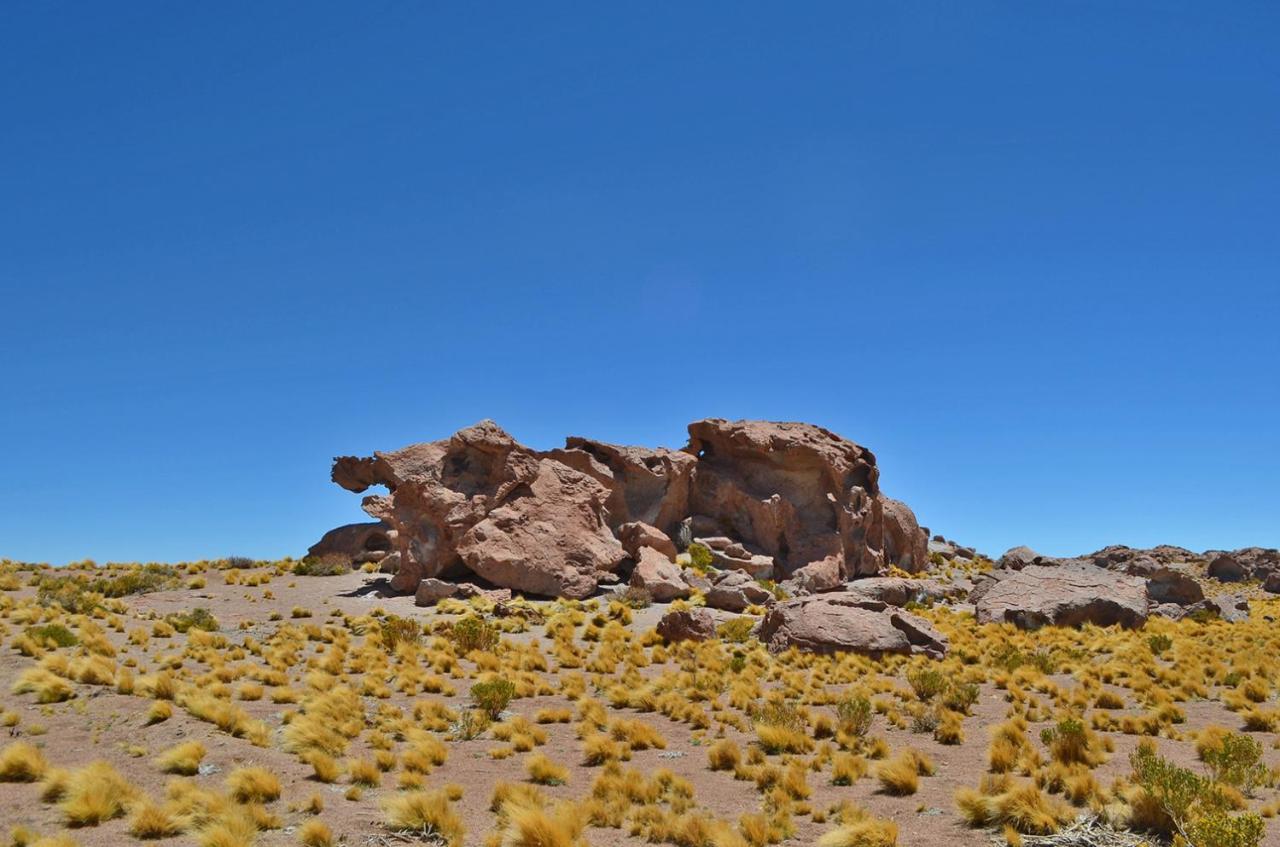 فندق Ckuri Atacama سان بيدرو دي أتاكاما المظهر الخارجي الصورة